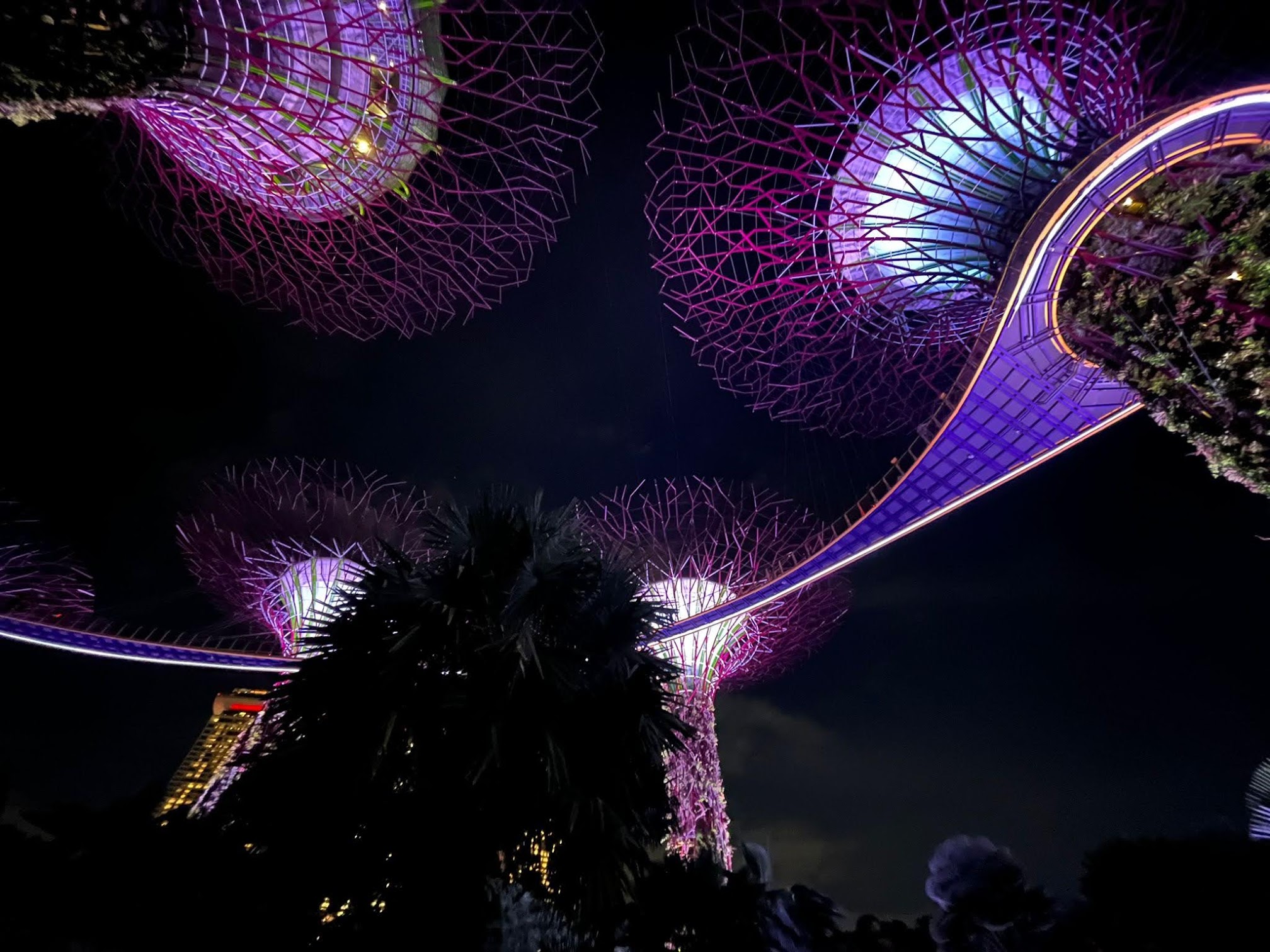 Fioletowo podświetlone Supertrees w Gardens by the Bay nocą