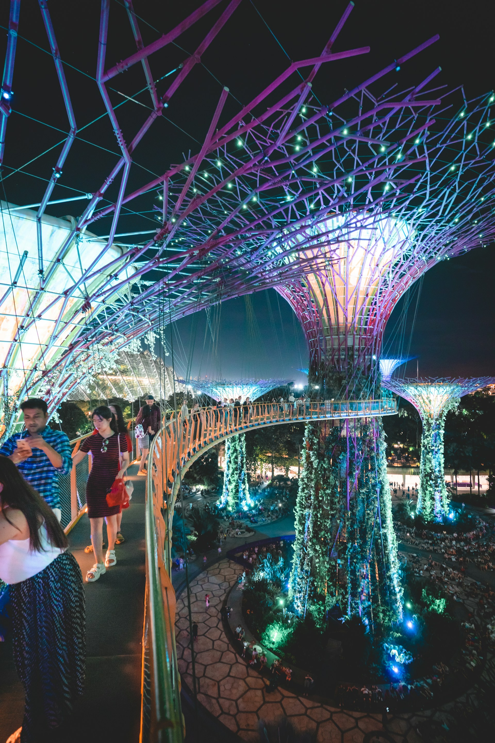 Pokaz Supertrees Garden Rhapsody